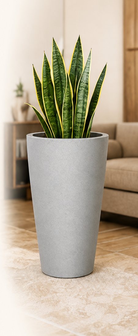 Nova smooth taper planter in grey with a snake plant