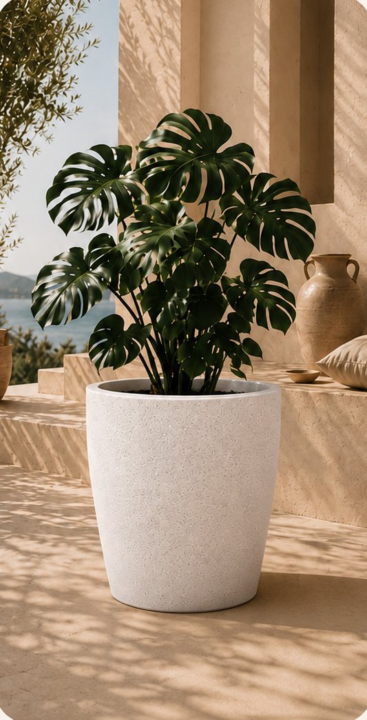 Solis smooth tapered planter in white with a monstera
